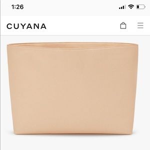 Cuyana Tote Organizer